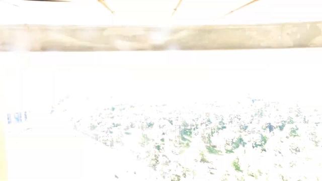 Что посмотреть в Мадриде за 1 день смотреть онлайн