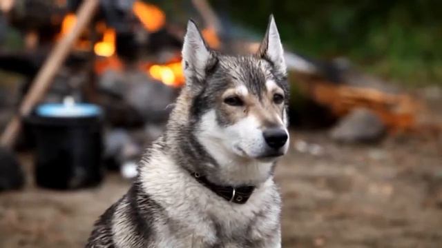 Сейдозерский альбом. Возле 