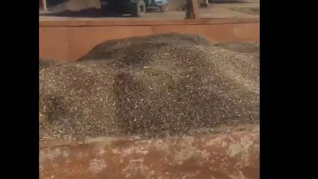 Мини элеватор в Рязанской области на базе зерносушилки AgroDry смотреть онлайн