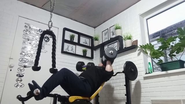 2.Жим гантелей по максимальным углом вверх. смотреть онлайн