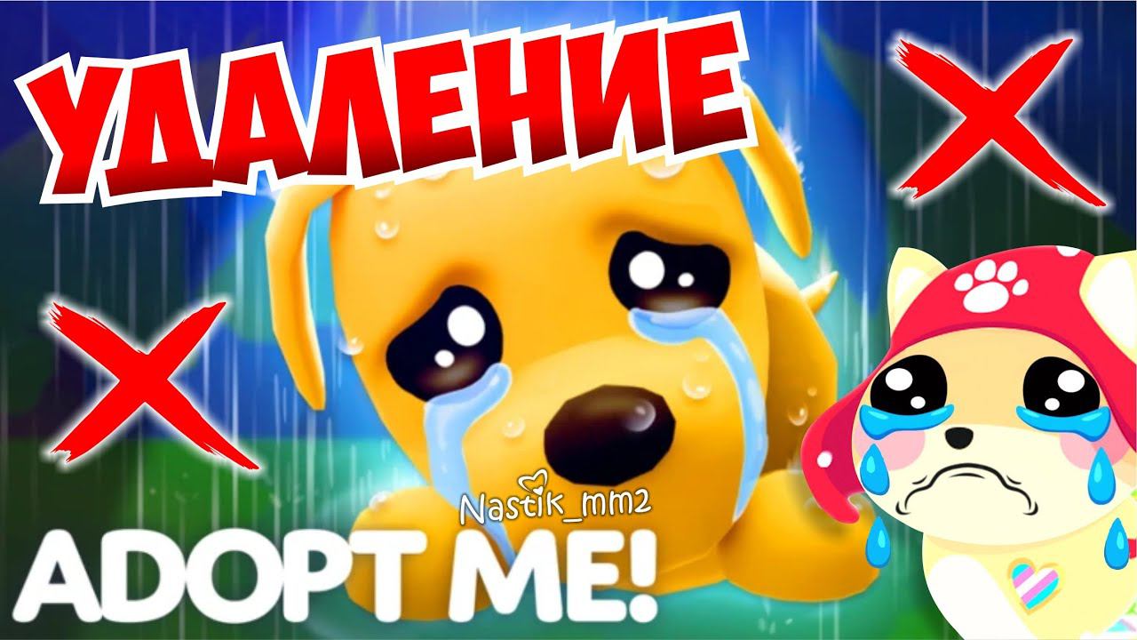 ❌УДАЛЕНИЕ❌ВСЕ ИГРОКИ РАЗОЧАРОВАНЫЗАЧЕМ РАЗРАБОТЧИКИ ТАК СДЕЛАЛИ?!НОВОЕ ОБНОВЛЕНИЕ! Adopt Me смотреть онлайн