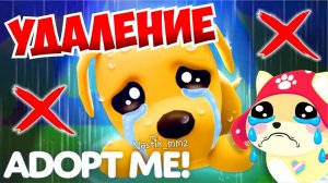 ❌УДАЛЕНИЕ❌ВСЕ ИГРОКИ РАЗОЧАРОВАНЫЗАЧЕМ РАЗРАБОТЧИКИ ТАК СДЕЛАЛИ?!НОВОЕ ОБНОВЛЕНИЕ! Adopt Me