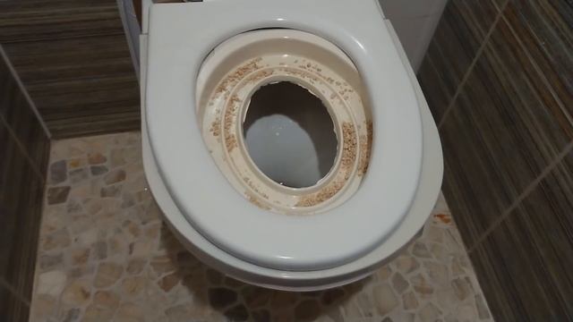 Как приучить кота к унитазу. Бенгальский кот Вирсик. 猫 смотреть онлайн