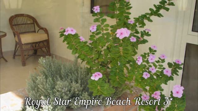 The Three Corners Triton Empire 3*/Royal Star Empire Beach Resort 3* hotel. ОБЗОР 2-х ОТЕЛЕЙ ХУРГАД смотреть онлайн