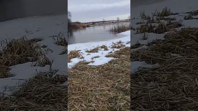 Прогулка по берегу реки смотреть онлайн