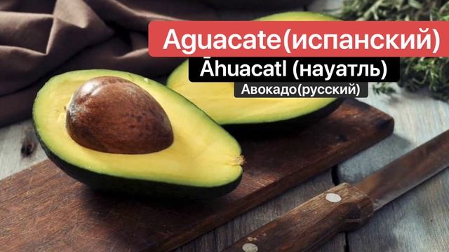 Курс мексиканского языка 4 "Ацтекские слова". смотреть онлайн