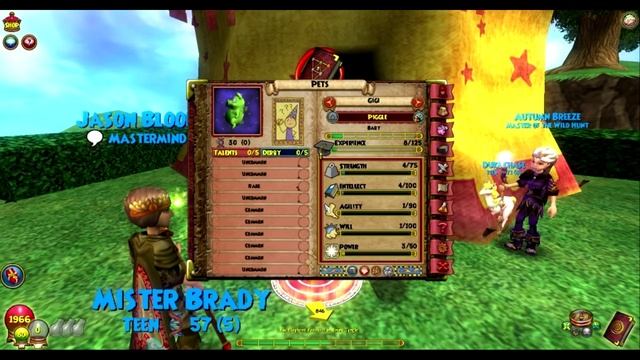 Wizard101: How To Make Or Copy The Perfect Pet (2017) (Tutorial) Heather The Wizard смотреть онлайн