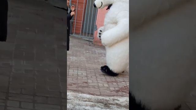 день рождение с мишкой смотреть онлайн