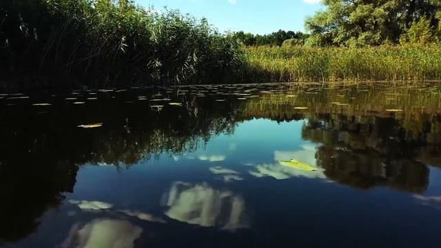Владимир Бочаров Вдаль бежит река смотреть онлайн