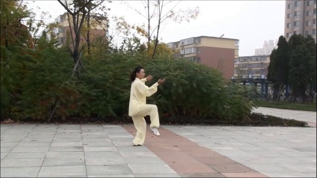 Chen-style 74-form Tai Chi (lao jia yi lu) - Wang Bo смотреть онлайн