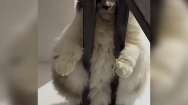 Да, мне так удобно смотреть онлайн