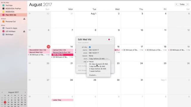 Day 13 - Plan With Me Aug 13-19 // August 2017 #SSSVEDA смотреть онлайн