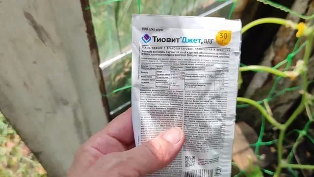 На огурцах появились увядающие листья и на некоторых различные пятна, это грибковые заболевания. смотреть онлайн