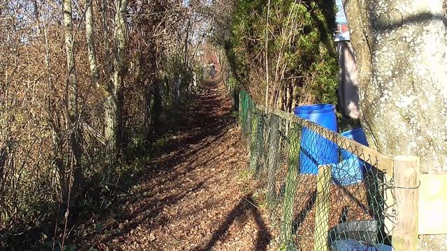 06. Дачный дневник. Мастерская на даче. Точка невозврата смотреть онлайн