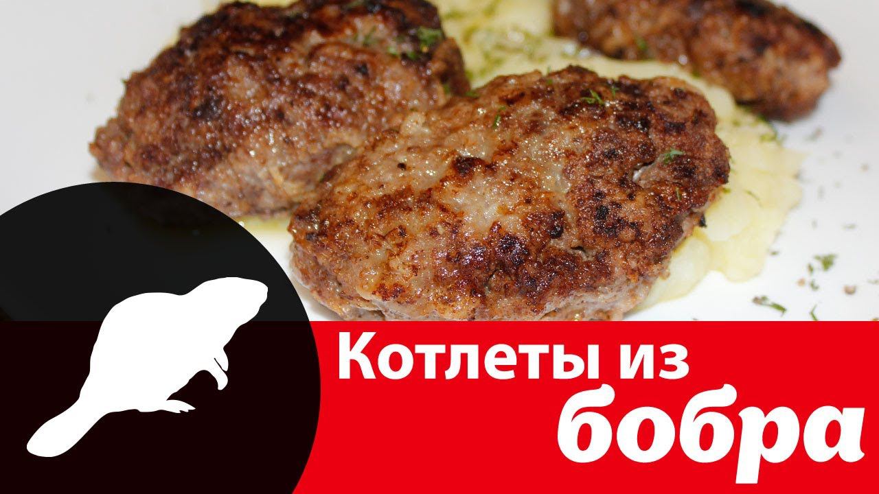 Как приготовить вкусные котлеты из мяса бобра — видео рецепт простого полезного блюда из бобрятины