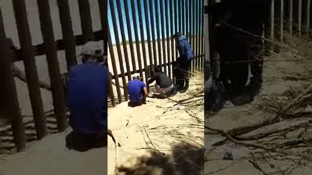 ?Indian family USA border crossing ? смотреть онлайн