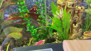 История России 8 кл/И.Л.Андреев/Тема 7:Общество и государство.Тяготы реформ/21.01.23 с 12:20