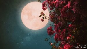 песня Джони как любовь тваю панят  2023