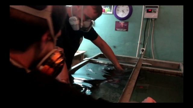 Видео №6 0 Аквапечать, Аквапринт пластика Hyundai I30. IndiGO Style г Калуга. смотреть онлайн