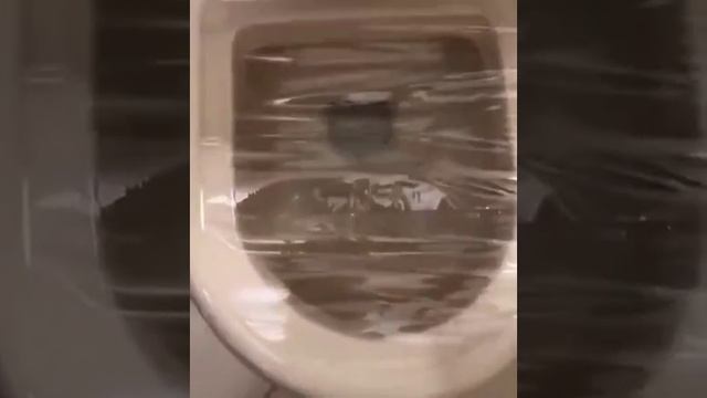 Видео,приколы,юмор,смех смотреть онлайн