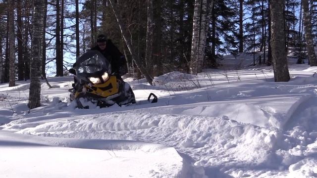 Фрирайд в лесу смотреть онлайн