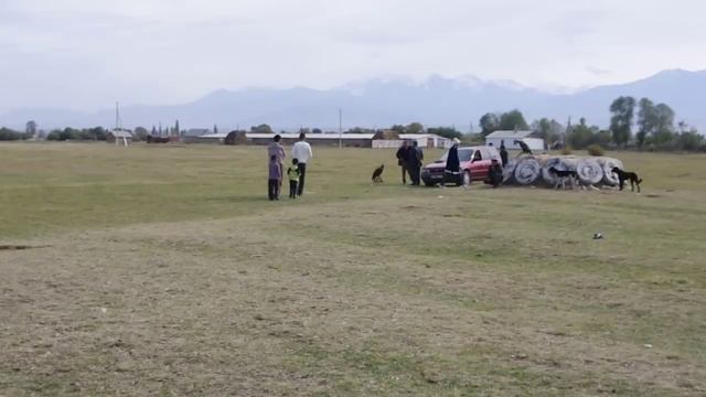 Hunting Festival in Talas, Kyrgyzstan смотреть онлайн