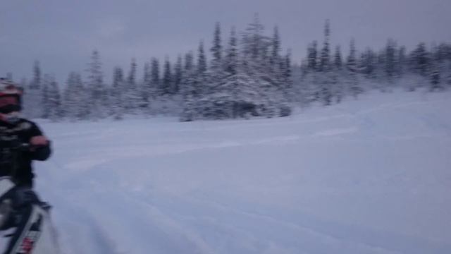 Новая Канда!Снега нет,только пух. смотреть онлайн