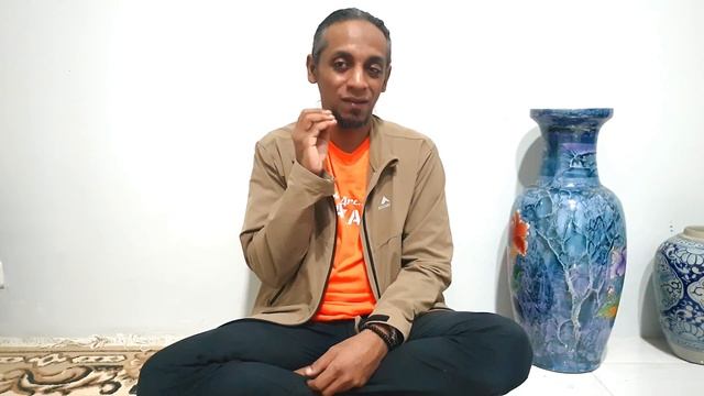 KUCING BRITISH SHORTHAIR, MAKANAN APA YANG COCOK DIBERIKAN ??