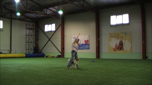 Братанова Ирина и Vincitore ,класс ОТКРЫТЫЙ ФРИСТАЙЛ смотреть онлайн