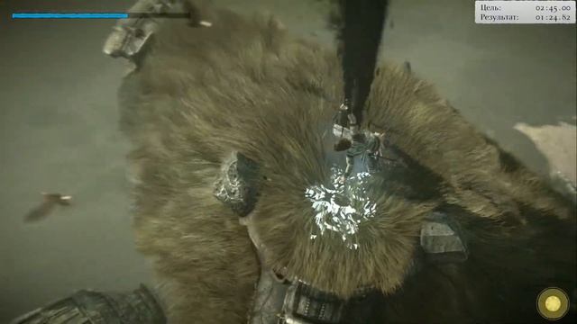 Shadow of the Colossus (В тени колосса) Бой на время: сложный [Колосс] #1 смотреть онлайн