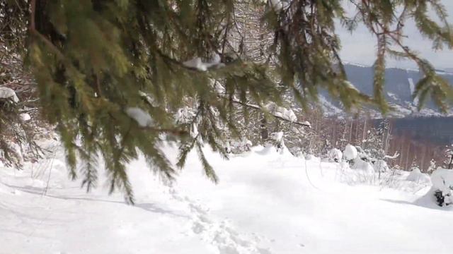 Спонтанний похід - Яремче, скеля "Білий Камінь" смотреть онлайн