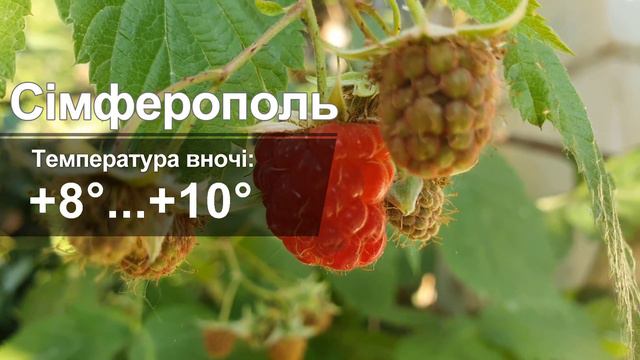 Погода в Україні на завтра, 26 вересня: у Києві, Харкові, Дніпрі, Одесі, Донецьку, Львові... смотреть онлайн