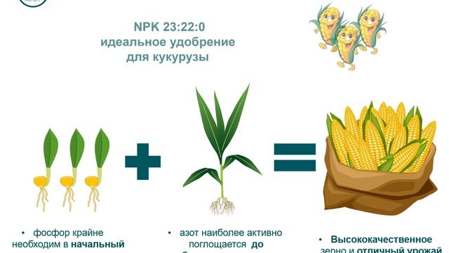 Как получить высокий урожай кукурузы? Удобрение NPK 23:22:0 смотреть онлайн