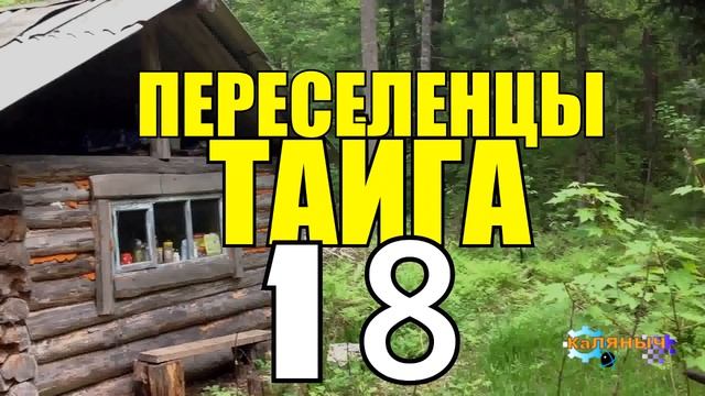 ПЕРЕСЕЛЕНЦЫ В ТАЙГЕ | НАКАЗАНИЕ КНУТОМ НА РУСИ | ТОРГОВАЯ КАЗНЬ | СУДЬБА ЧЕЛОВЕКА 18 смотреть онлайн