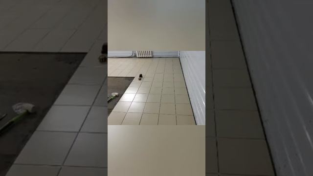 Ремонт гараж в город Братск смотреть онлайн