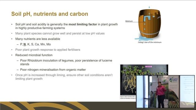 Irrigation Insights 2023 Dr Cassie Schefe смотреть онлайн