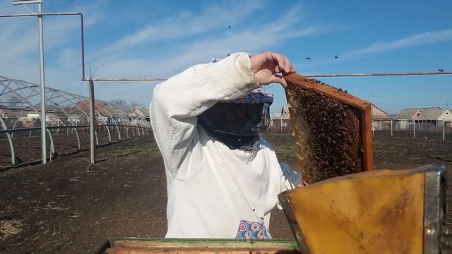 Срочный контроль на наличие корма в связи с зимним расплодом. смотреть онлайн