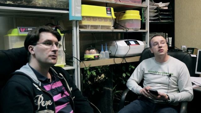 Ответы на вопросы об инкубаторах для яиц, инкубации и яйцах \ Часть 1 \ Птицеводство ТВ #4: смотреть онлайн