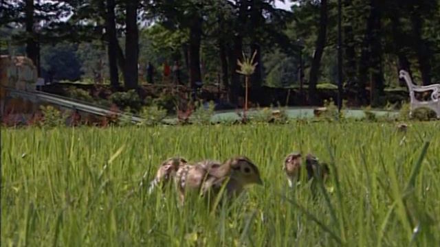 Малыши из замка История 4 НА ПОЛЕ ДЛЯ ГОЛЬФА смотреть онлайн