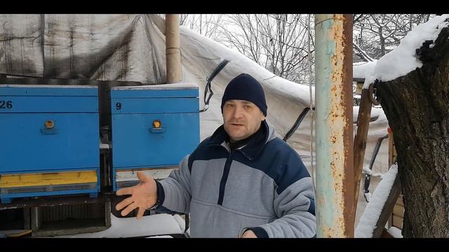 Зимовка, внутренний леток, осмотр. смотреть онлайн