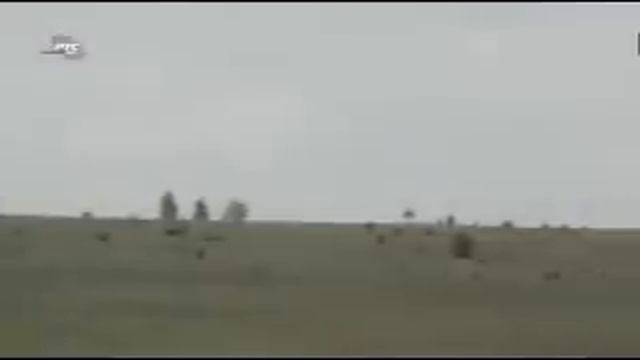 Ravna Gora - NAUCICE CELA SRBIJA ... смотреть онлайн