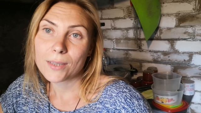 ВЛОГ В ДЕРЕВНЕ ХОРОШО, НО МЫ ВЫНУЖДЕНЫ УЕХАТЬ В МОСКВУ смотреть онлайн