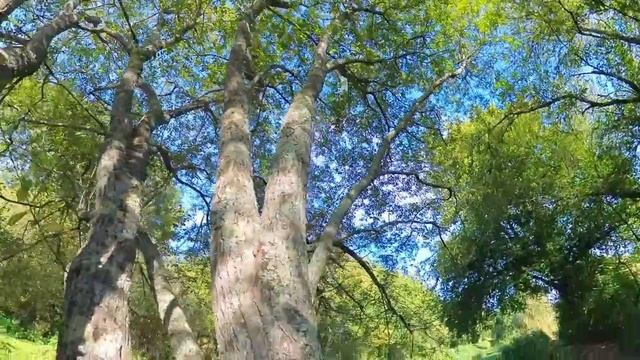 Insta360 X3 Video Footage - Hiking Day With The Insta360 X3 - 360 Action Camera