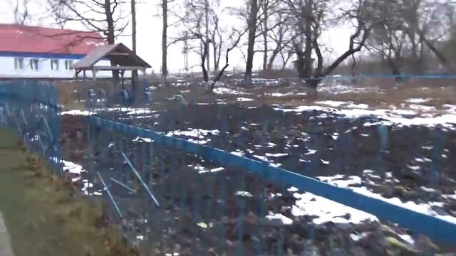 школа оформление смотреть онлайн