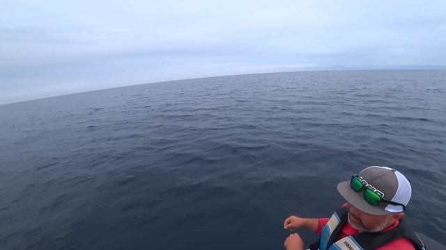 Мой рекордный тунец смотреть онлайн