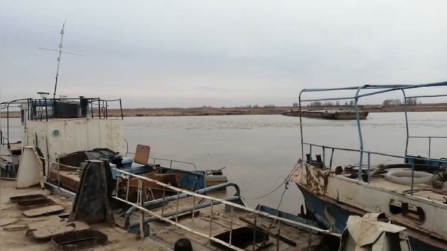 Амударё ? Копир очиладими ?? ?? смотреть онлайн