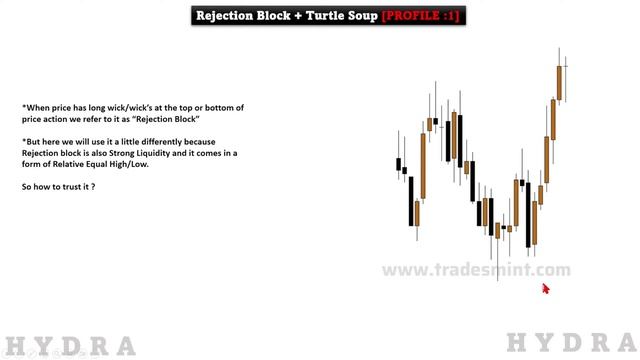 4. Day 3 Mastering Turtle Soup(@Algo_Trading_Lit)