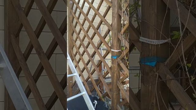 Беседка узимларга сурилар смотреть онлайн