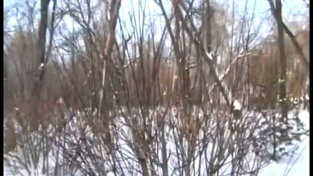 Город3152 смотреть онлайн