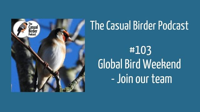 Global Bird Weekend. Join our team #103 смотреть онлайн